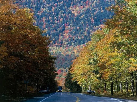 Ngỡ ngàng trước cảnh tượng mùa cây thay lá đẹp nhất cả năm ở xứ New England